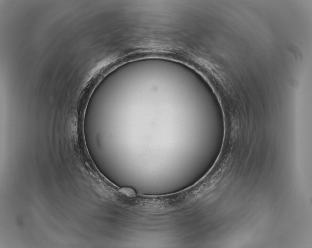 X0000111891307200907231548