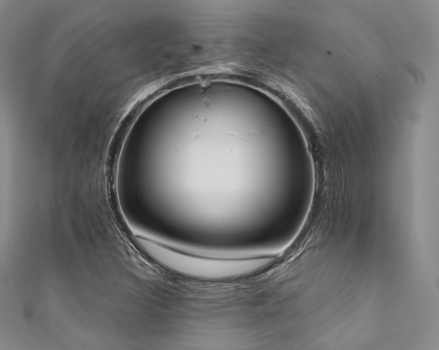 X0000111891308200907231548
