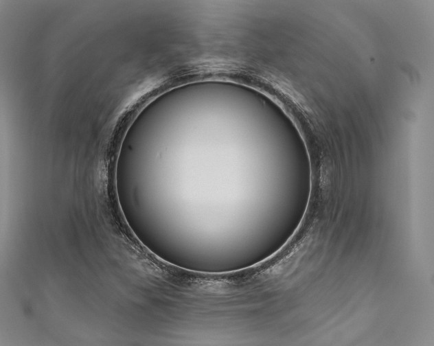 X0000111891309200907231548