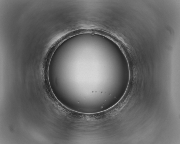 X0000111891311200907231548