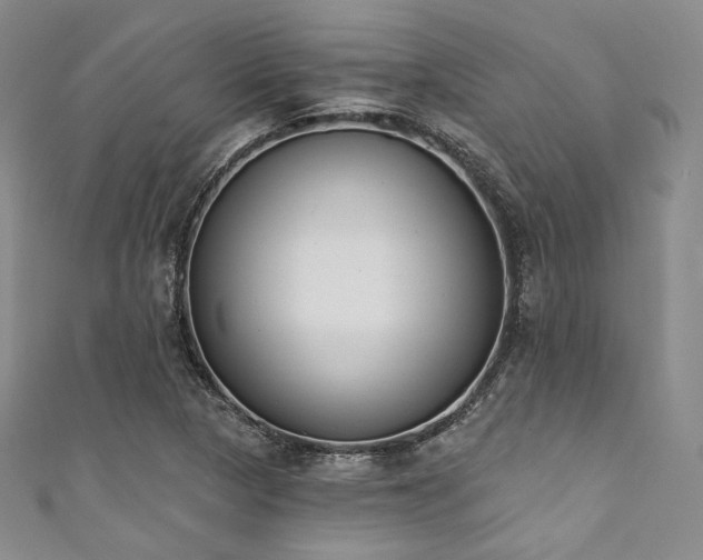 X0000111891313200907231548
