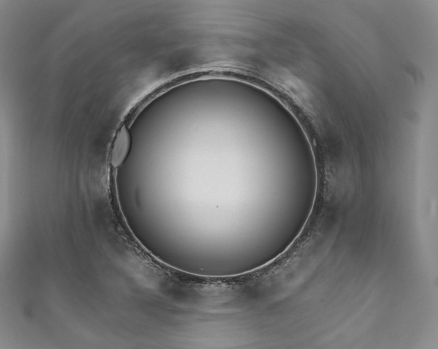 X0000111891316200907231548