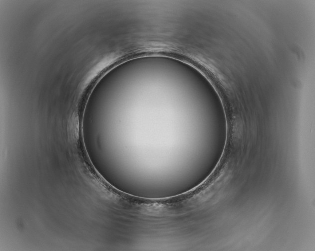X0000111891317200907231548