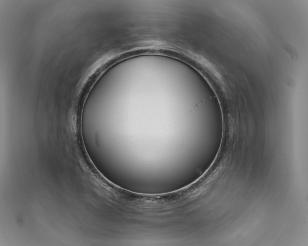 X0000111891318200907231548