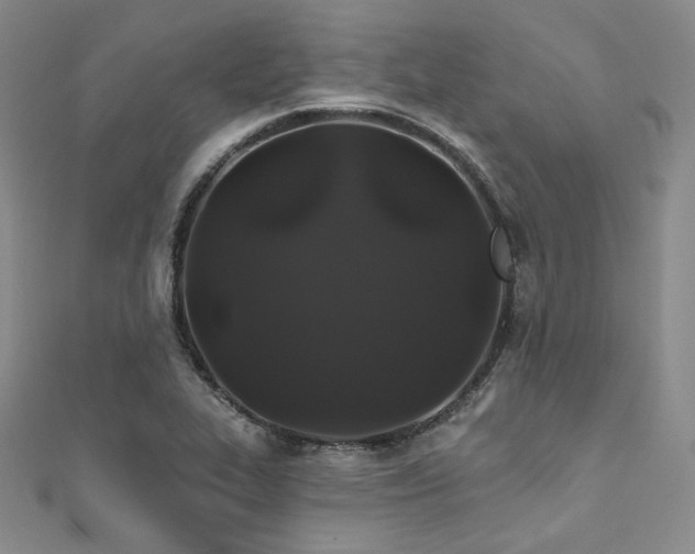 X0000111891319200907231548