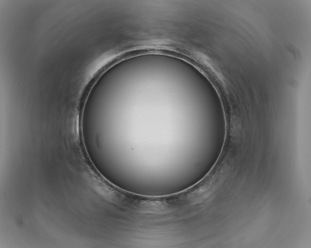 X0000111891320200907231548