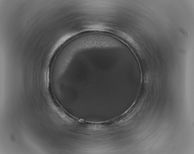 X0000111891323200907231548