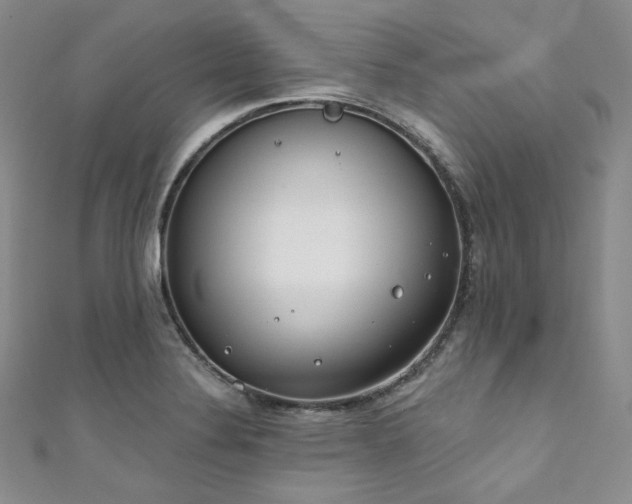 X0000111891324200907231548
