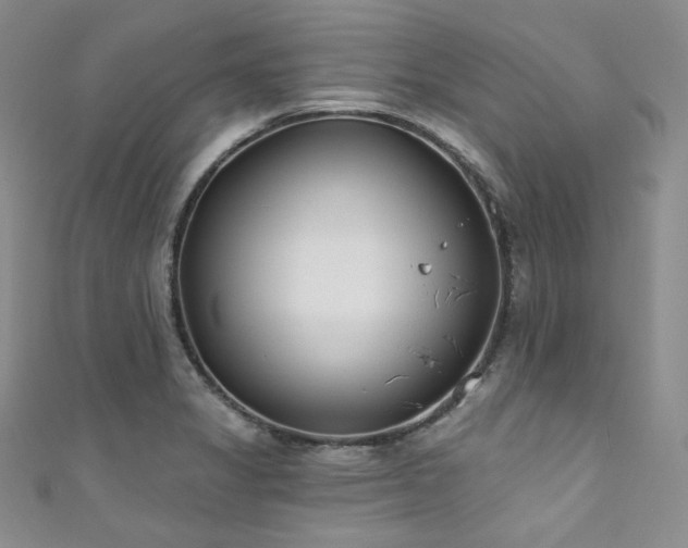 X0000111891325200907231548