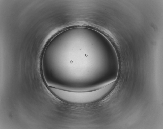 X0000111891326200907231548