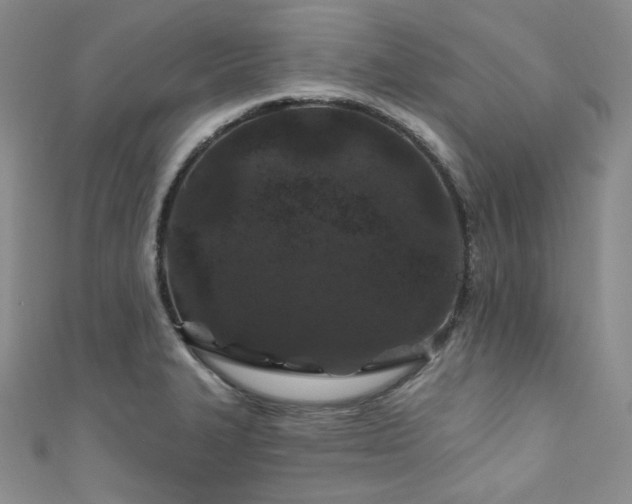 X0000111891327200907231548