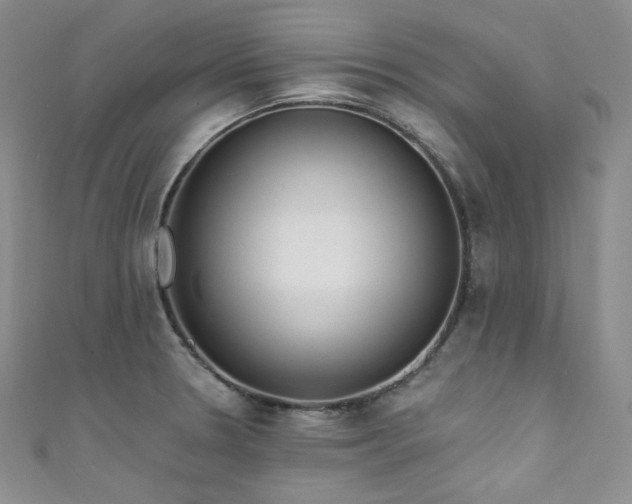 X0000111891330200907231548