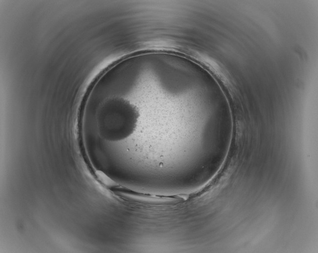 X0000111891331200907231548