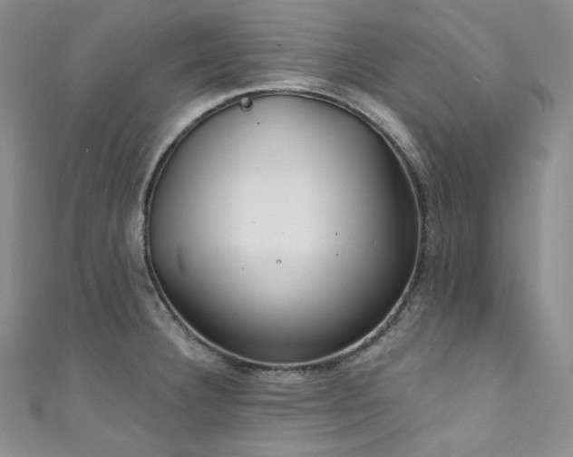 X0000111891332200907231548