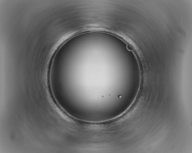 X0000111891333200907231548