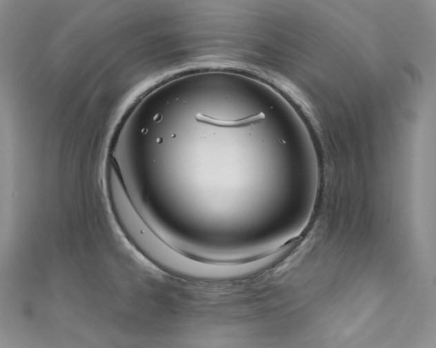 X0000111891334200907231548