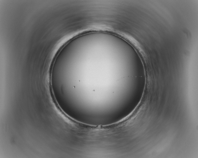 X0000111891335200907231548