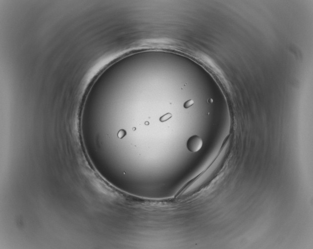 X0000111891336200907231548