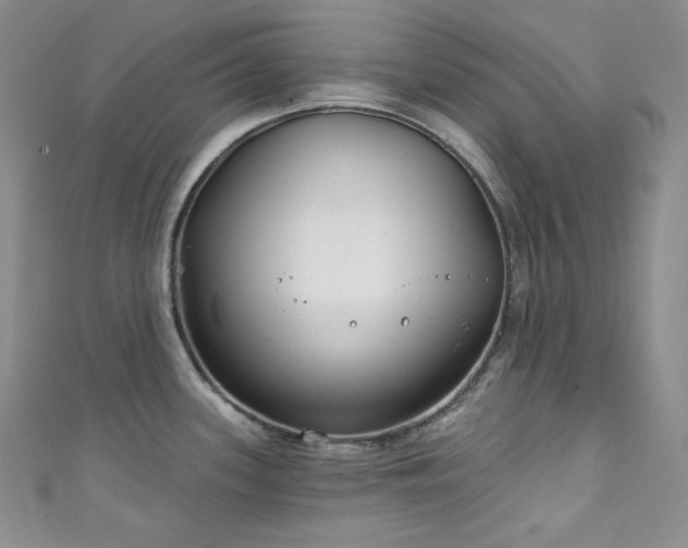 X0000111891339200907231548