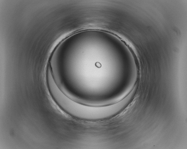 X0000111891341200907231548