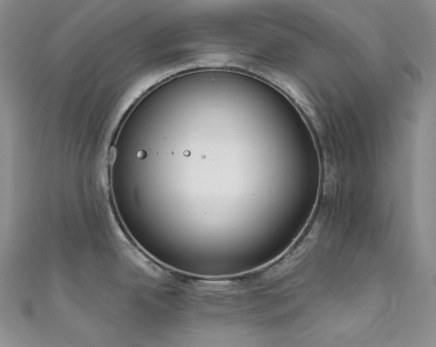 X0000111891342200907231548