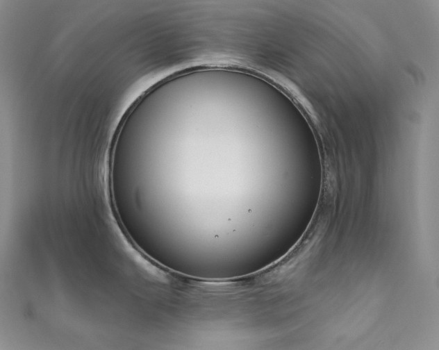 X0000111891343200907231548