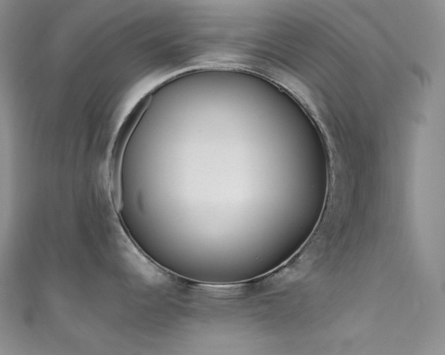 X0000111891344200907231548