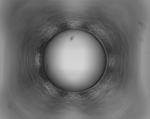 X0000111891346200907231547