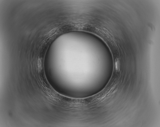 X0000111891347200907231547