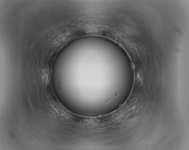 X0000111891348200907231547