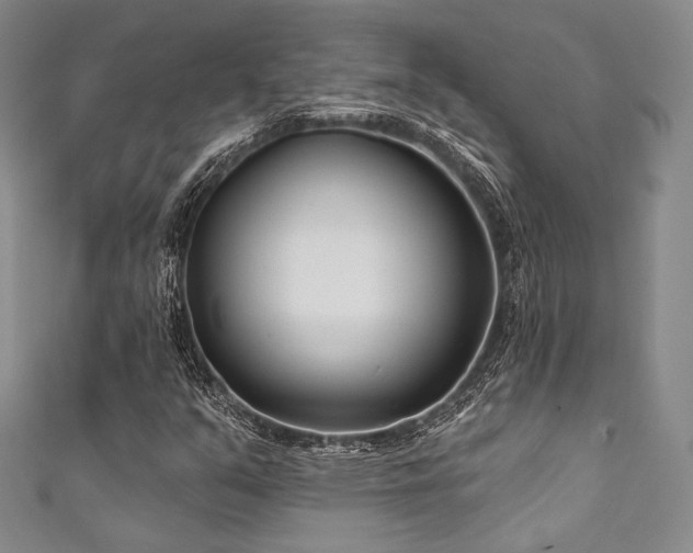 X0000111891351200907231547