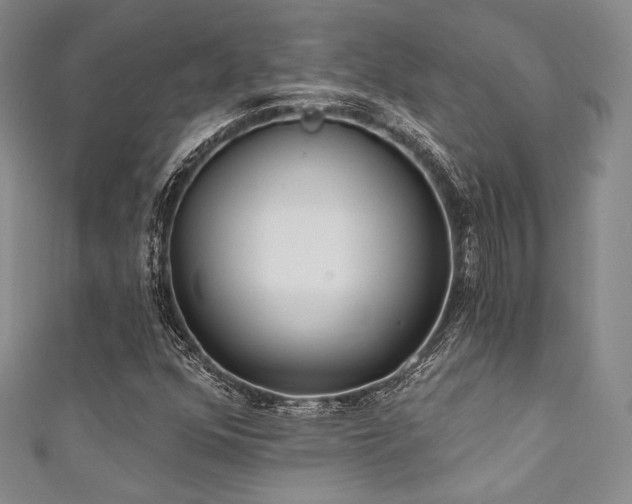 X0000111891352200907231547