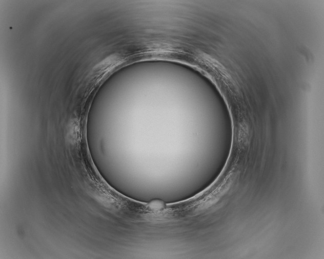 X0000111891353200907231547