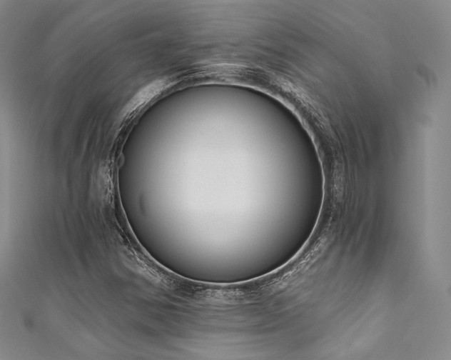 X0000111891354200907231547