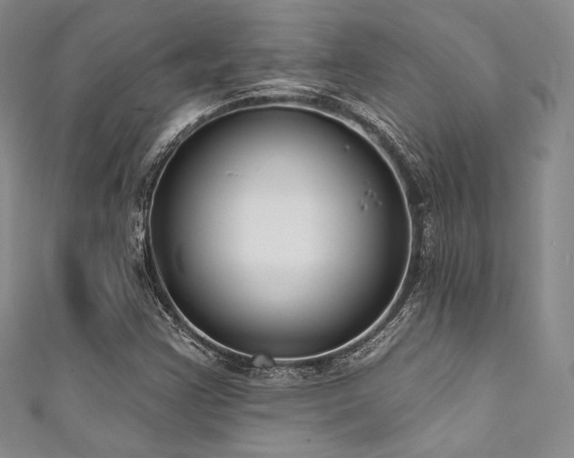 X0000111891355200907231547