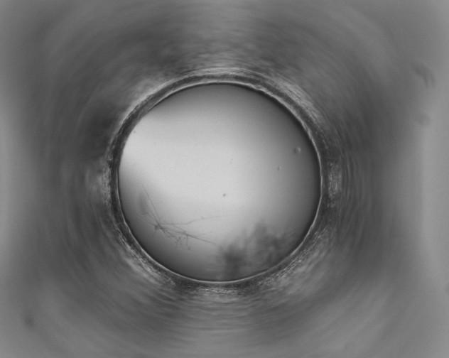 X0000111891356200907231547