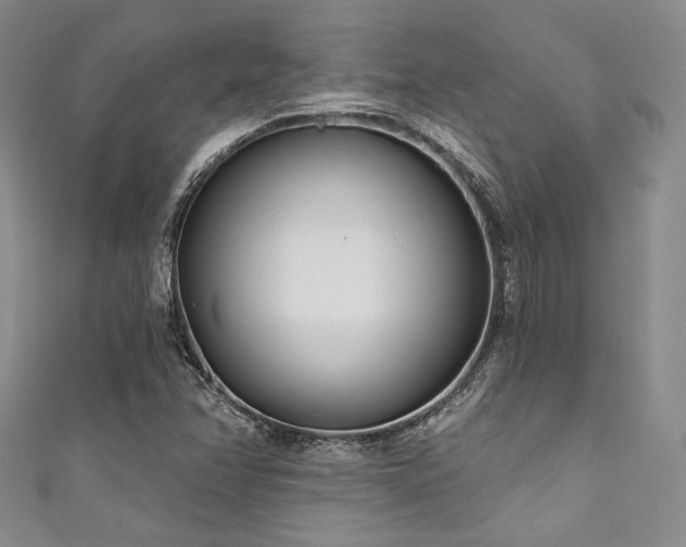 X0000111891358200907231547