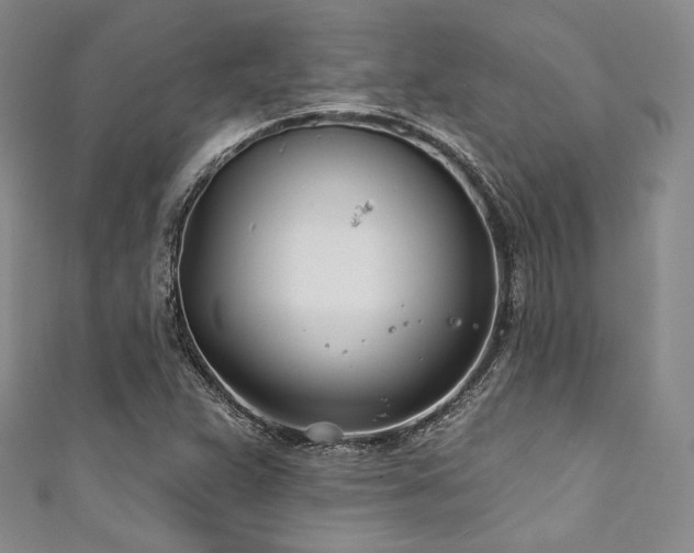 X0000111891359200907231547