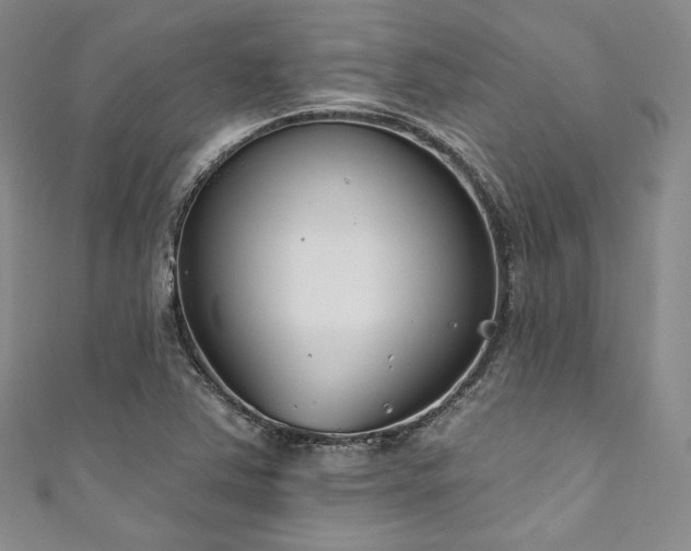 X0000111891363200907231547