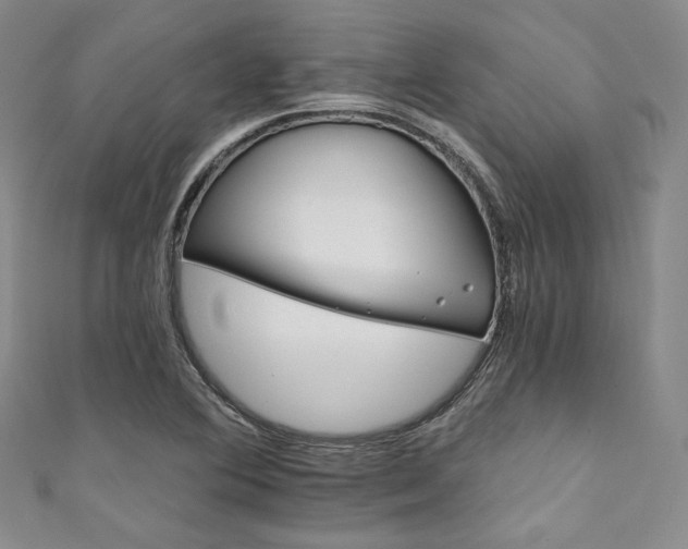 X0000111891364200907231547