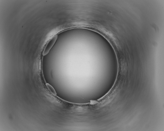 X0000111891365200907231547
