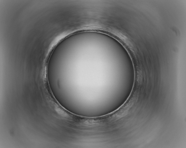 X0000111891366200907231547