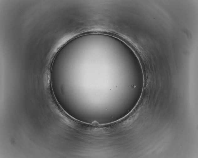 X0000111891367200907231547