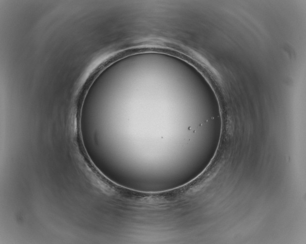 X0000111891368200907231547