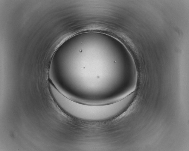 X0000111891369200907231547