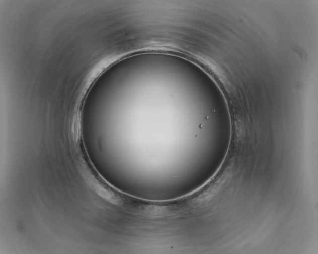 X0000111891371200907231547
