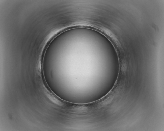 X0000111891372200907231547
