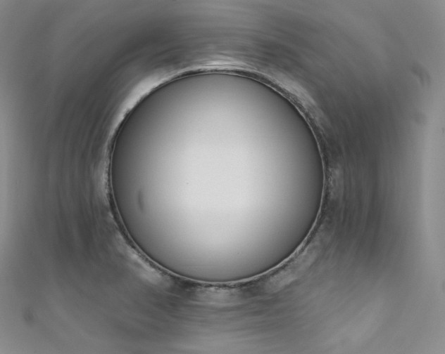 X0000111891374200907231547