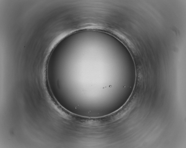 X0000111891375200907231547