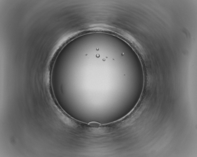 X0000111891376200907231547